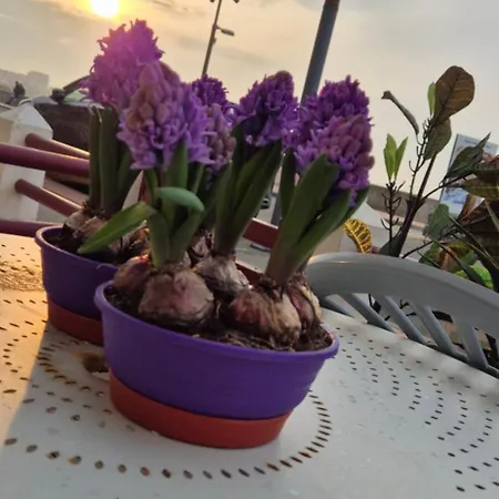 Face A La Les Moussaillons شقة مير-لي-بان